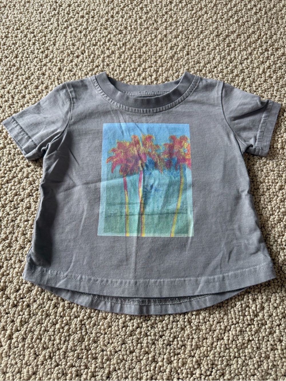 Little Bipsy Gray Tee with Colorful Palm Print